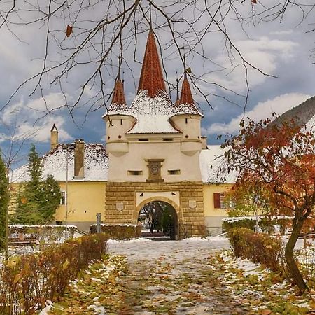 Avantgarden Brasov, Perfect Home - 1 Room Apartment Zewnętrze zdjęcie