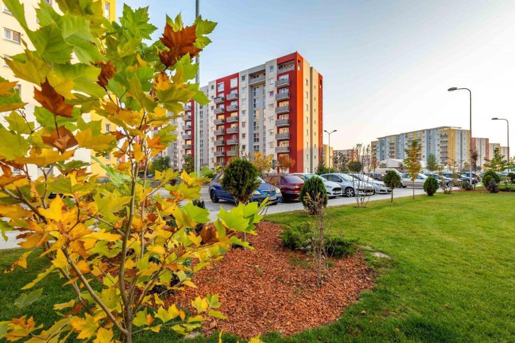 Avantgarden Brasov, Perfect Home - 1 Room Apartment Zewnętrze zdjęcie