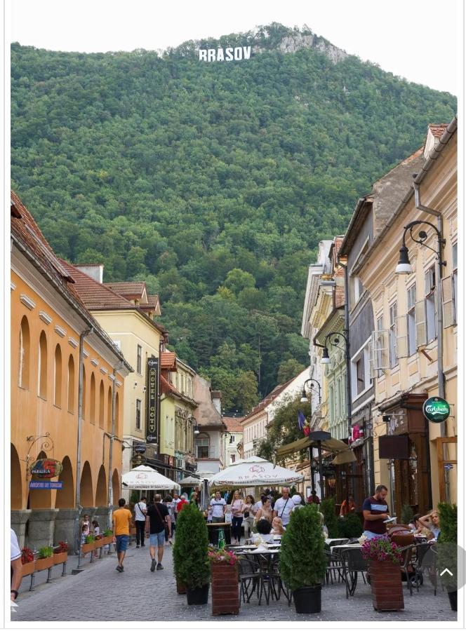 Avantgarden Brasov, Perfect Home - 1 Room Apartment Zewnętrze zdjęcie