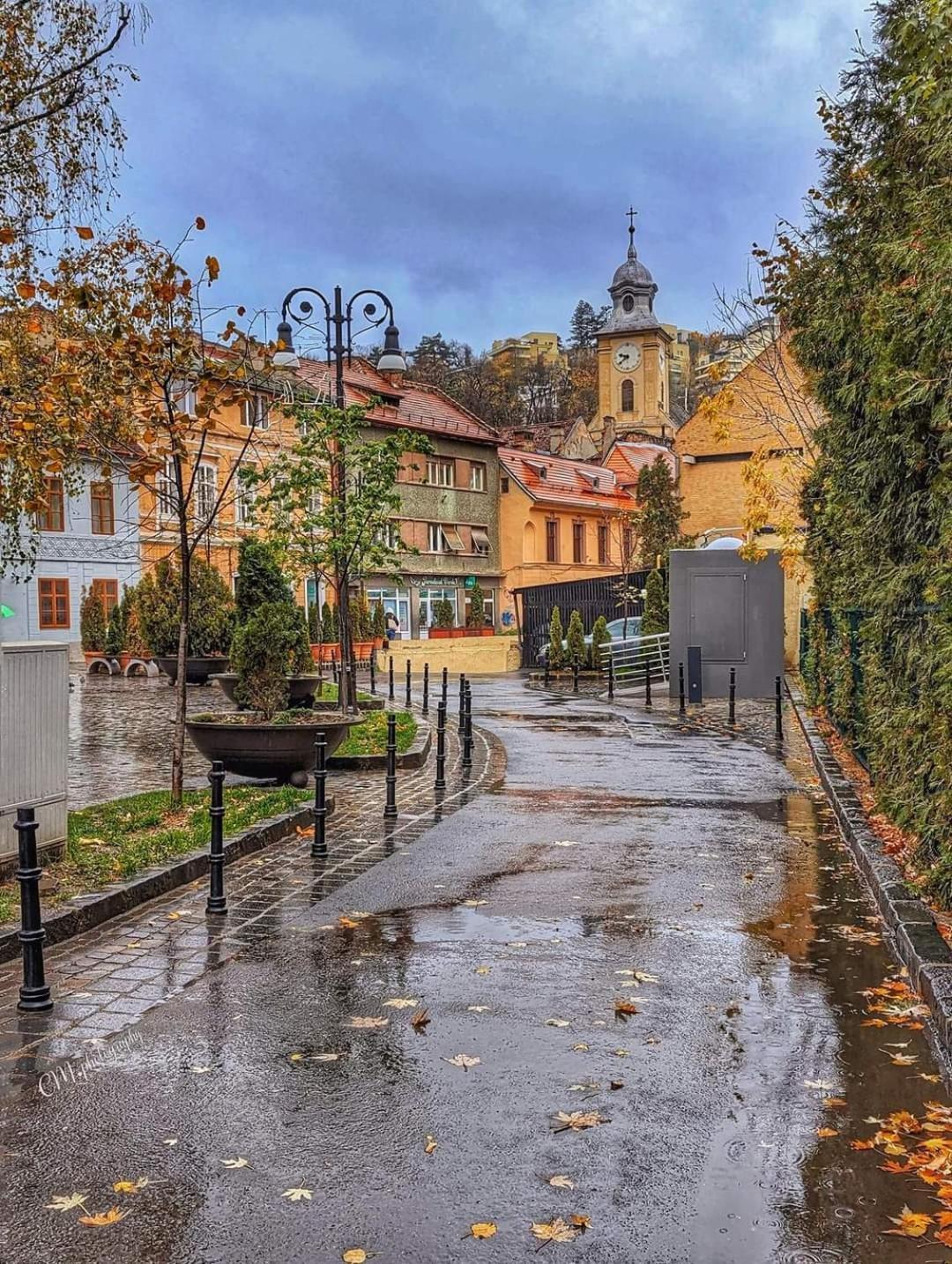 Avantgarden Brasov, Perfect Home - 1 Room Apartment Zewnętrze zdjęcie